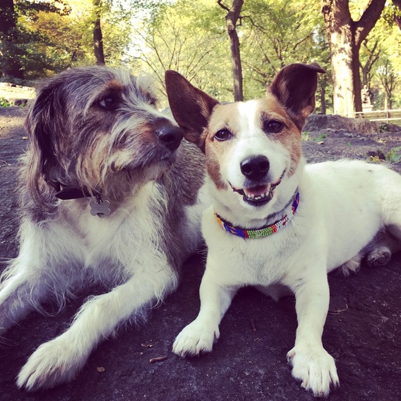 Meet your Posher, Jacki 🙋🏻‍♀️ - Picture 7 of 8